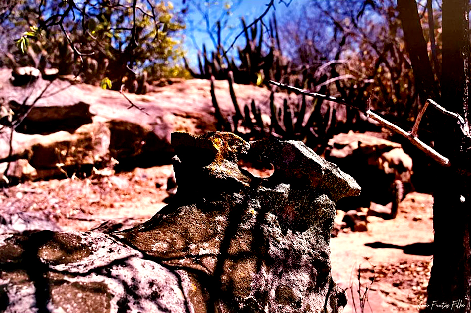 Atacama da Caatinga IX